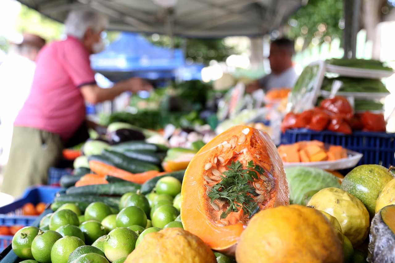 feira-da-agricultura-familiar-em-campos-atrai-fregueses-com-diferentes-tipos-de-produtos